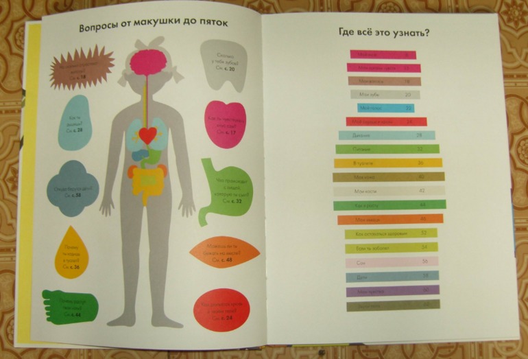 Мое тело.От макушки до пяток.