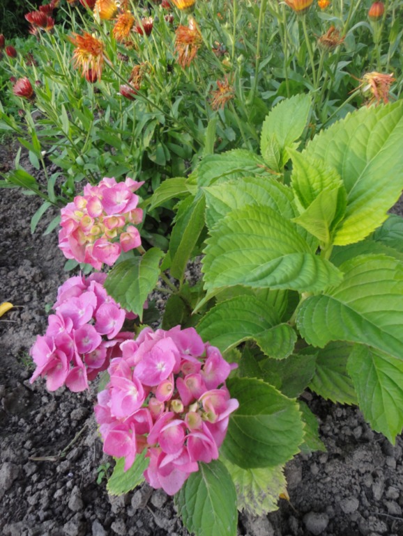 Похвастушки))))) Было и стало!