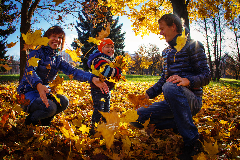 Яркая осень