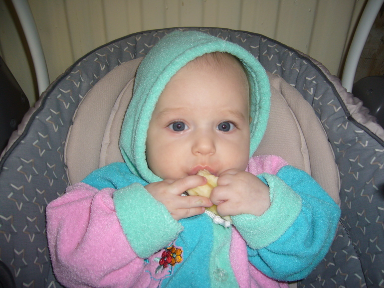 Про прикорм