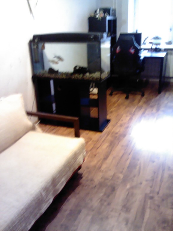 Взлет 66 - 16 много фото