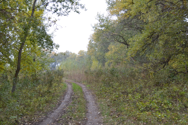 Контрольное задание № 6. Три способа цветокоррекций фотографий