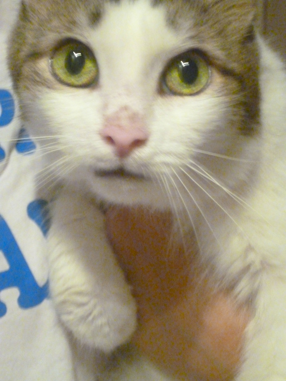 Контрольное задание № 16. Увеличение насыщенности