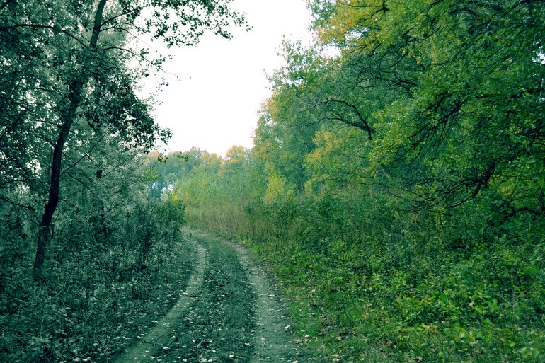 Контрольное задание № 6. Три способа цветокоррекций фотографий