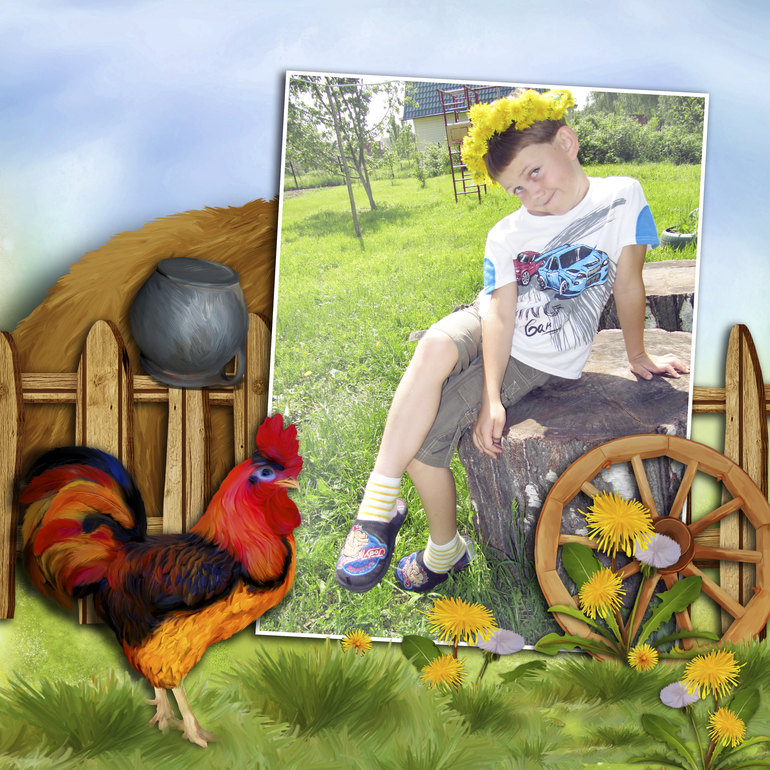 Одуванчики