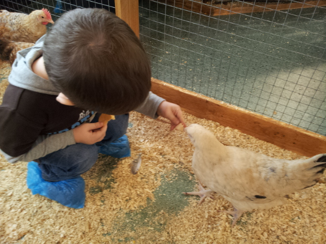 ВВЦ на ВДНХ