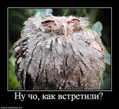 Наш первый (может последний?) поход в ЧДС