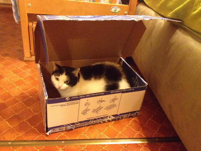 Праздник к нам приходит...праздник к нам приходит