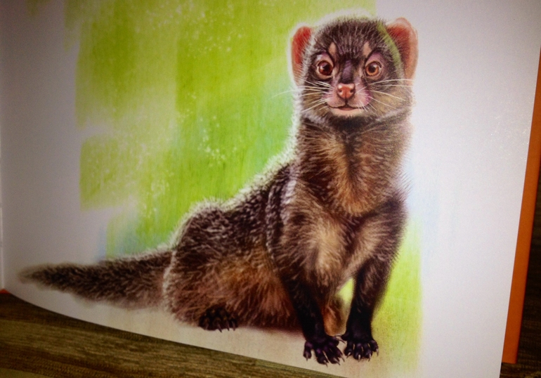 Рикки-Тикки-Тави  Джозеф Редьярд Киплинг