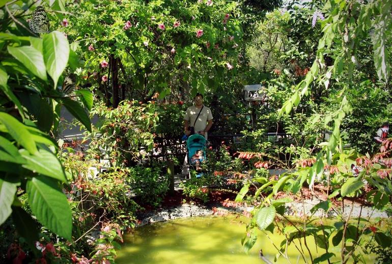 Наш первый тематический день