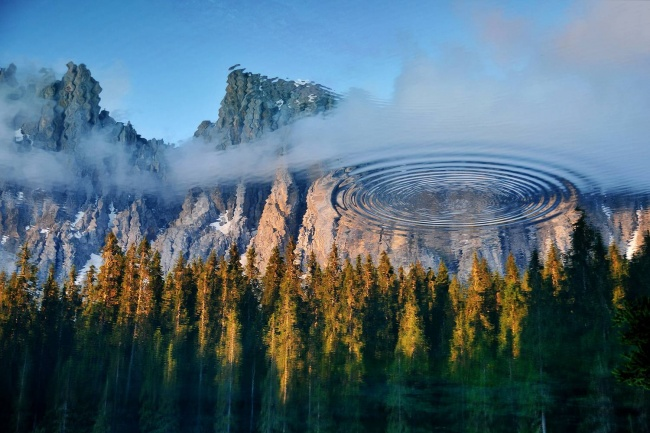 30 снимков месяца)