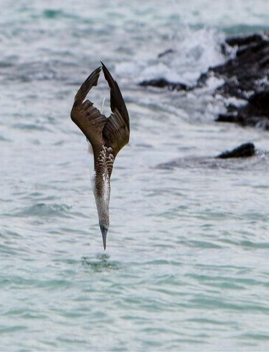 30 снимков месяца)