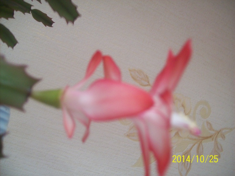 212e7ed23e4e944d09a7aed8db09e117.jpg