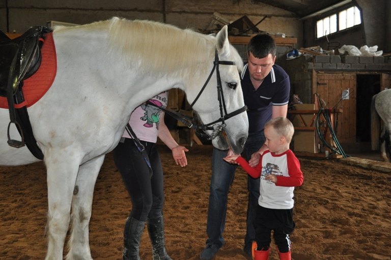 Лошадиный  БУМ