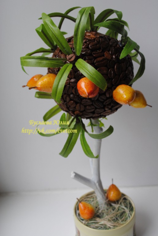 Кофейное дерево