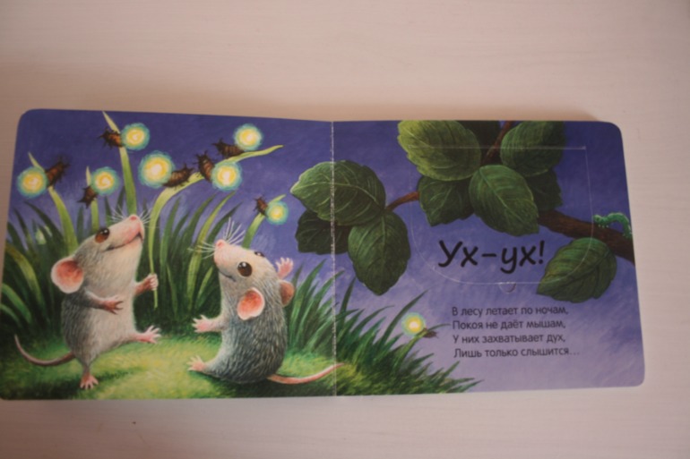 Что мы слышали в лесу и в деревне. Книжки с кармашками.