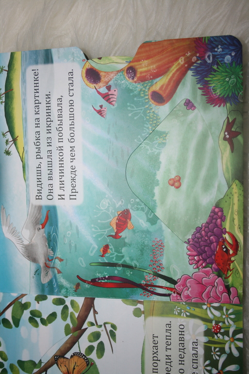 Наше ноябрьское (1,5 г)