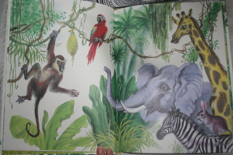 Наше ноябрьское (1,5 г)