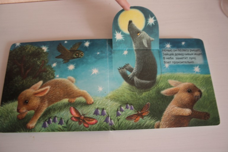 Что мы слышали в лесу и в деревне. Книжки с кармашками.