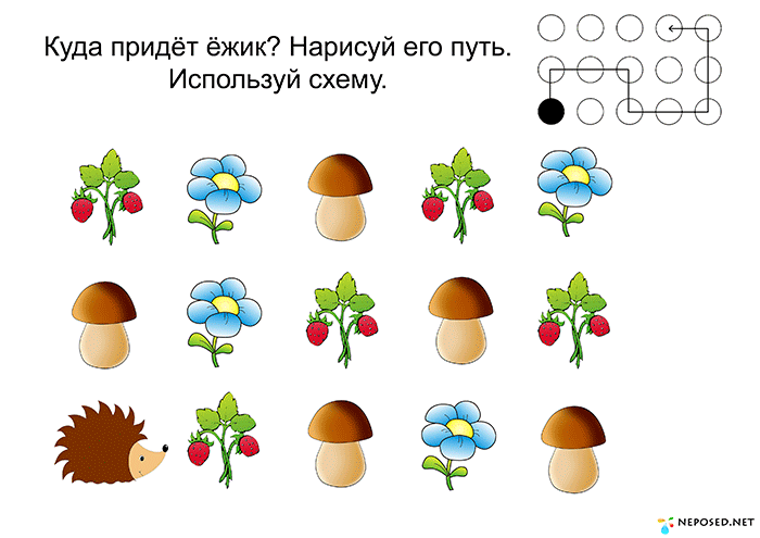 Гриб цветовая схема