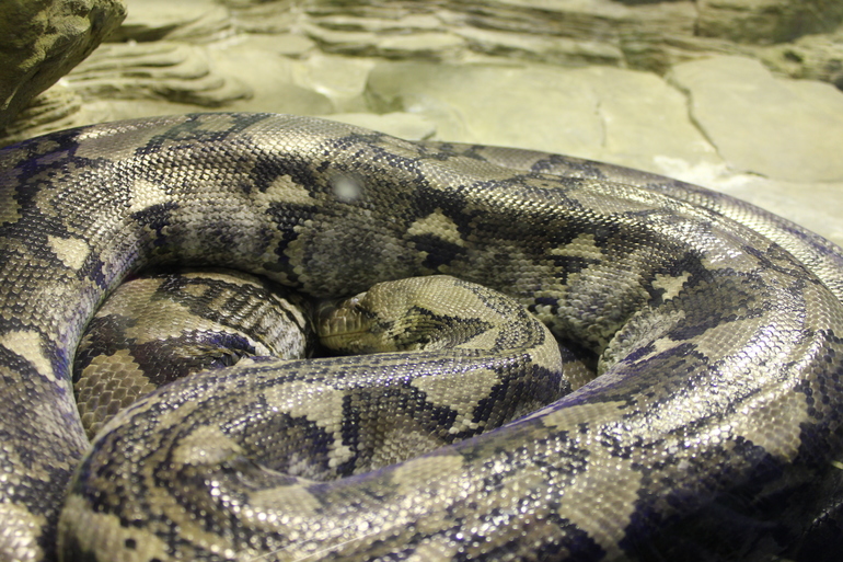 Осенний зоопарк!