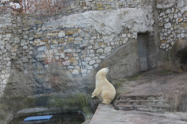 Осенний зоопарк!