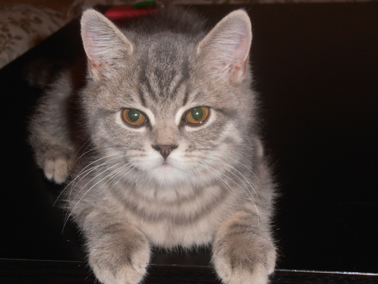 Мой Марселька!!