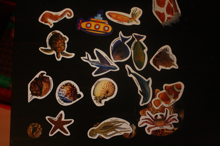 Магнитные репетиторы