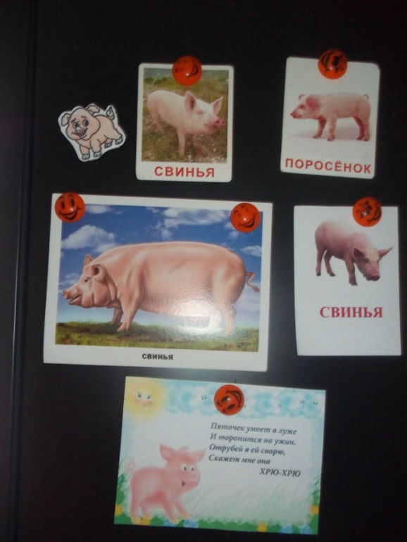 ТЗ Свинья, поросенок