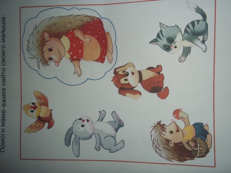 ТН Моя семья День 5 (заключительный)