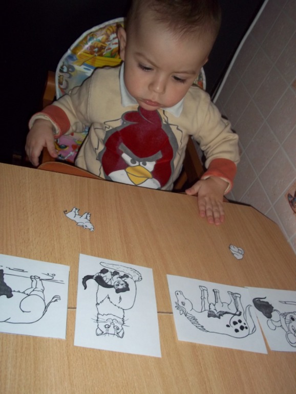 ТН Моя семья День 5 (заключительный)