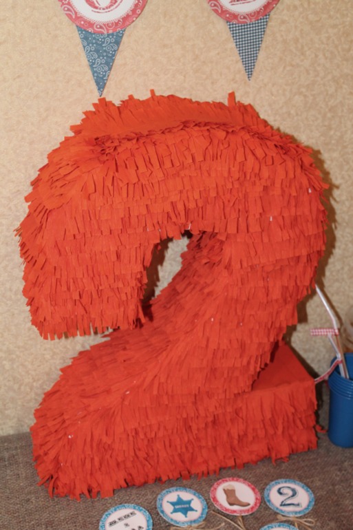 ДР в ковбойском стиле))