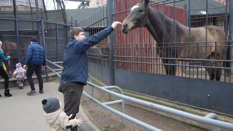 Погодки в зоопарке