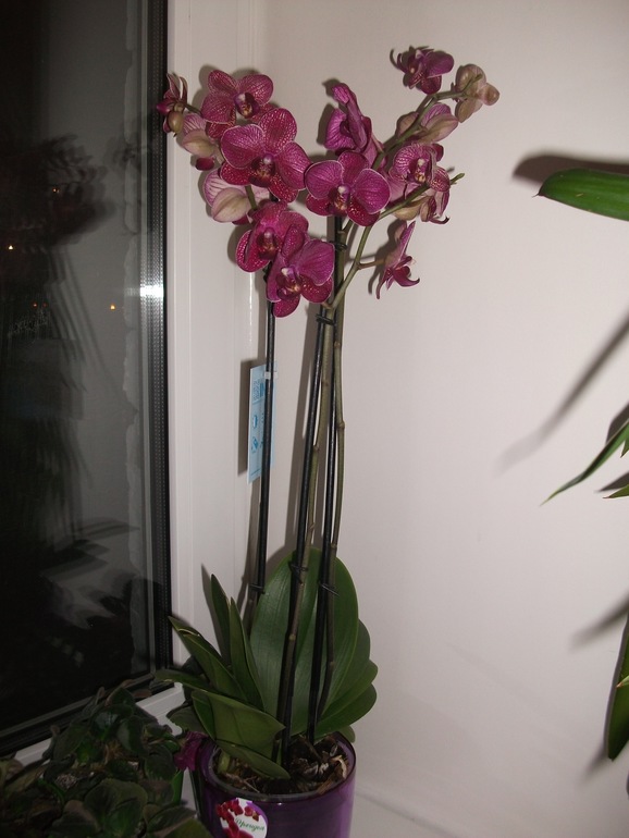 Помогите новичку!