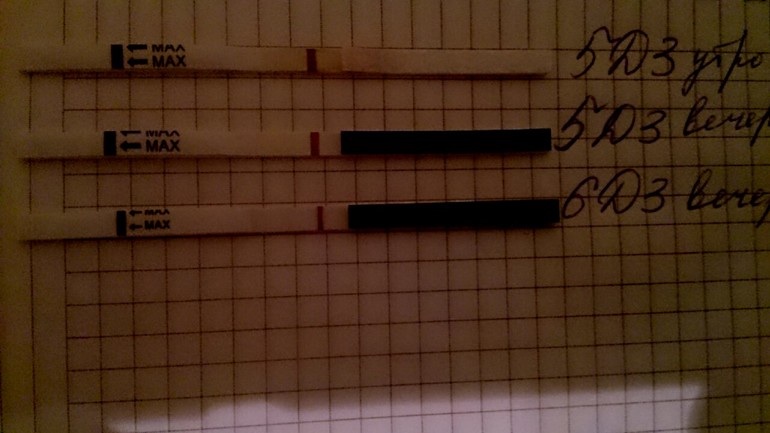 Все в кучу или долгий рассказ...