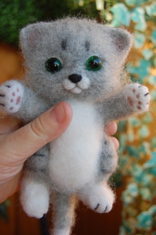 Очередной котик.