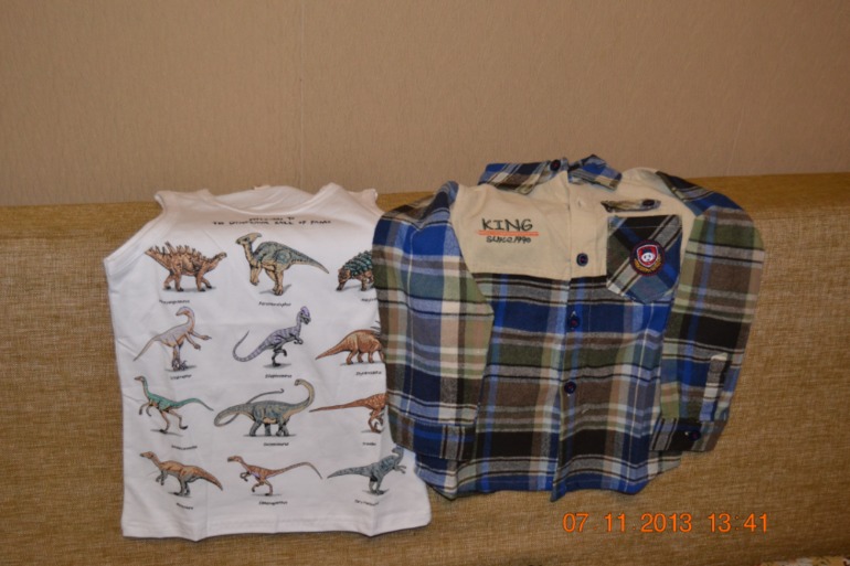наша маечка с динозаврами