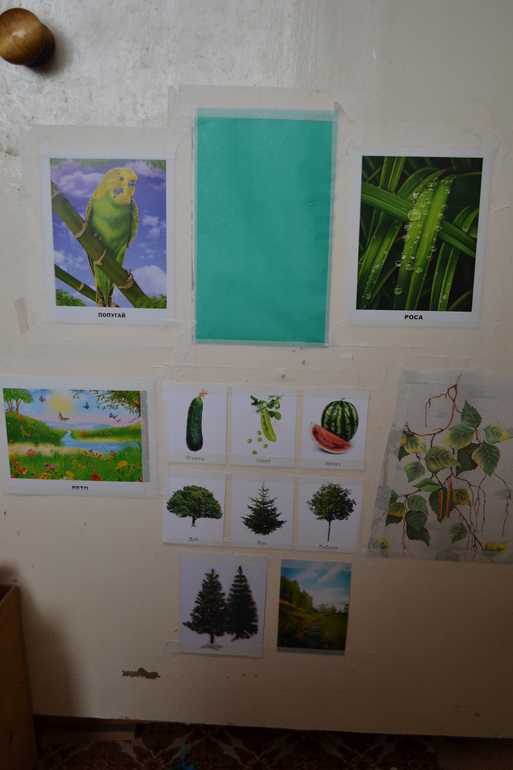 ТН Цвета. День 3 - Зеленый