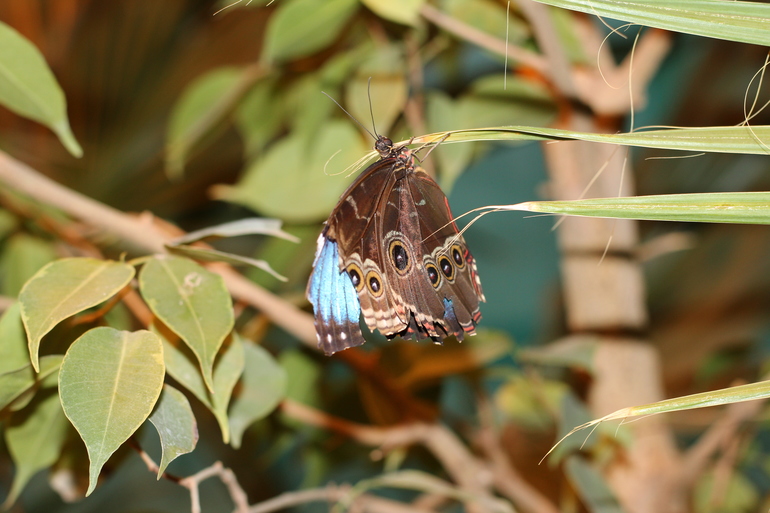 Всеросийский выстовочный центр.
