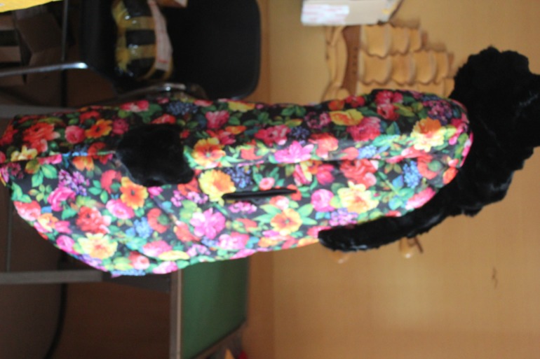 Пухочик RCAT. Живые фото!