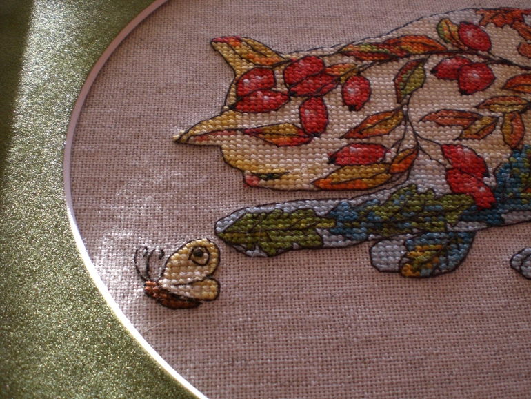 Осенняя кошка )))))