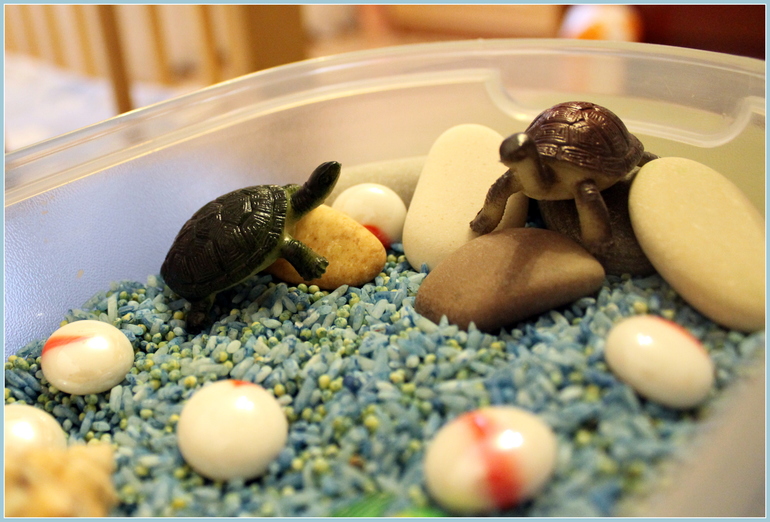 Морская сенсорная коробочка