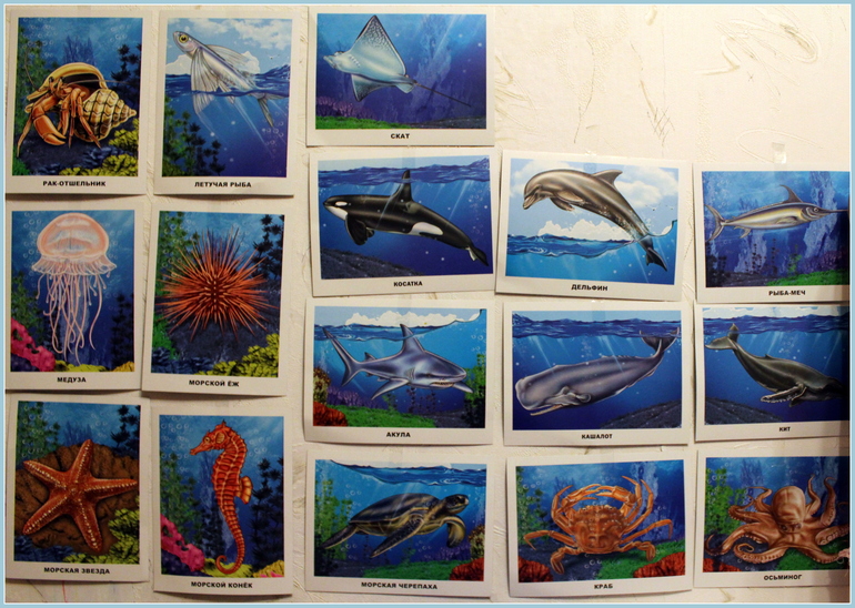 Морская неделя