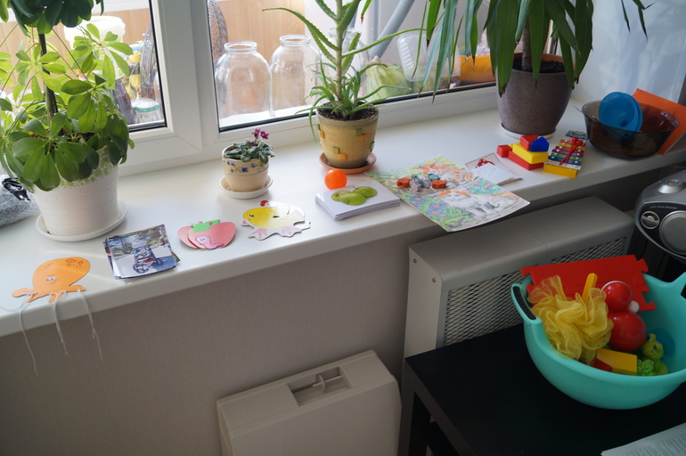 Занятия по Шичиде с 1,1 г.