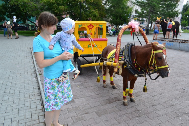 Голосование за лучшую фотографию