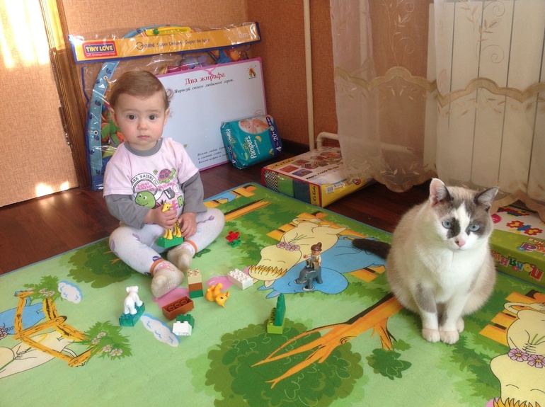 Первое знакомство с лего.