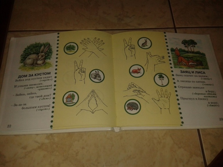 4.12 - Животный мир зимой.