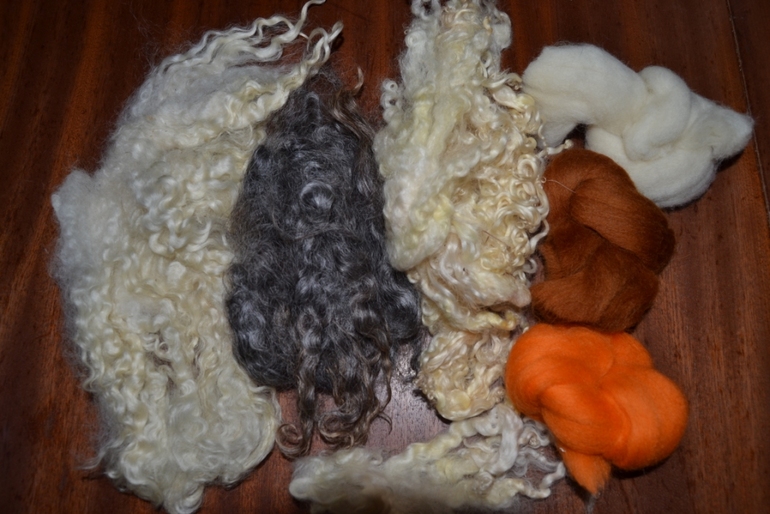 Премилое создание поселилось у меня!