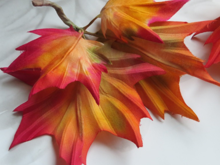 Осенняя листва.