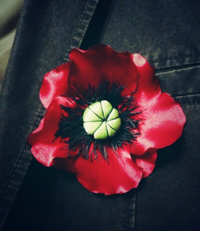 Вот такие разные цветы... и не только )